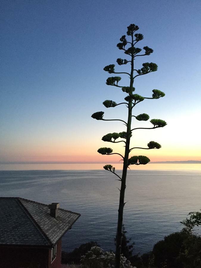 Appartamento a Moneglia, tra Portofino e le Cinque Terre Esterno foto